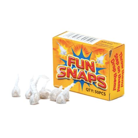 Who to Use Fun Snaps 的图像结果