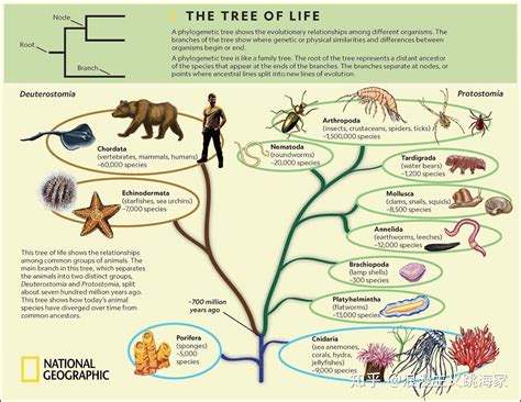 微生物群和微生物组有区别吗？本文带你详细了解它们的前世今生 - 知乎