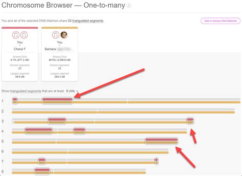 Image result for Ancestry Triangulation