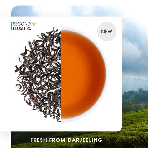 Buy 2025 Darjeeling Giddapahar Summer Chinary Black Tea Online | Teabox
