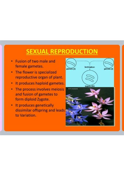 SOLUTION: Reproduction in lower and higher plant ppt 1 - Studypool