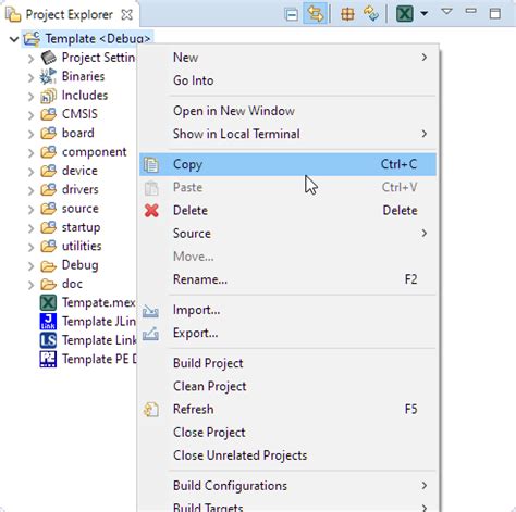 Eclipse Clone Project Error 的图像结果