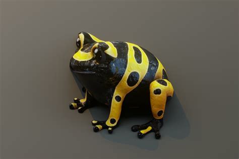Image result for 2D Unity Tutorial Frog