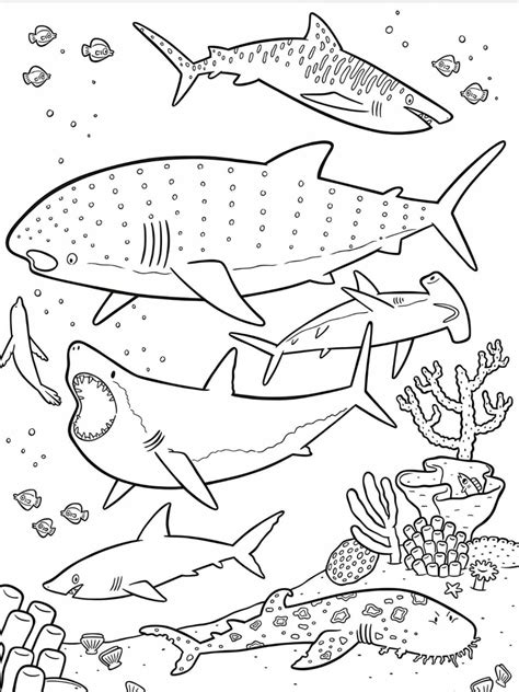 Coloring Pages Sea Animals