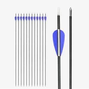 Buy KEYCRAZE Archery Professional Arrows - Carbon Fiber, Fiberglass and ...