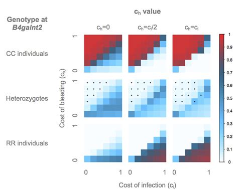 Image result for Genotype Frequency Analysis