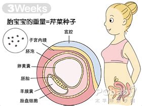 怀孕6个月腹围多大算正常 怀孕腹围长得很快是怎么回事 _八宝网