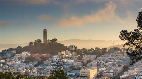 10 of the Best Kid-Friendly Hikes in the Bay Area - The Family Vacation ...