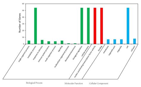 Systematic Analysis of Differentially Expressed Maize ZmbZIP Genes ...