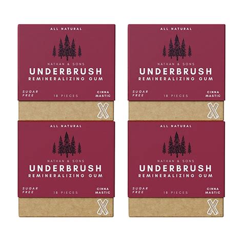 Remineralizing Chewing Gum, All Natural Organic Mastic Cinna ...