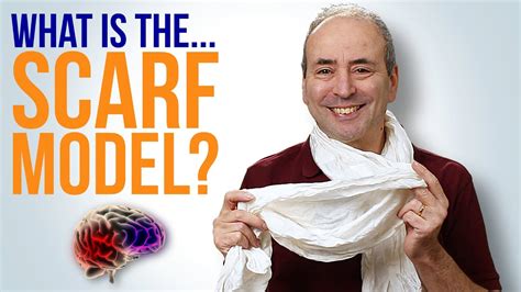 Image result for Scarf Model Explained