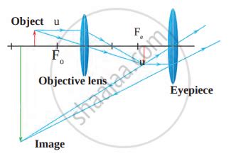 Microscope Optics 的图像结果