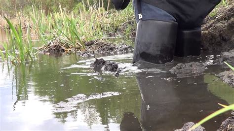 Image result for Waders in Mud Compilation