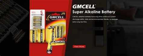 Company Overview - Shenzhen Gmcell Technology Co., Ltd.