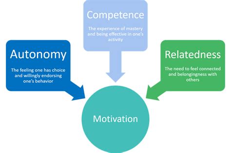 Self-Determination Theory of Motivation - Center for Community Health ...