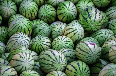 Nava Durga Fruit Company