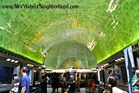 FREE Things To Do in Southeast Michigan in Winter