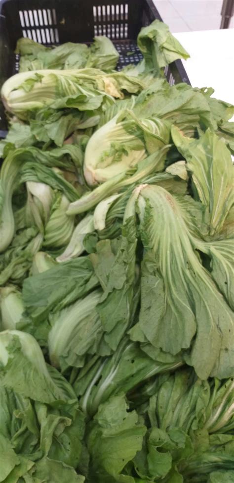 Medical Malpractice in the USA (2025 Patient Rights & Compensation ...