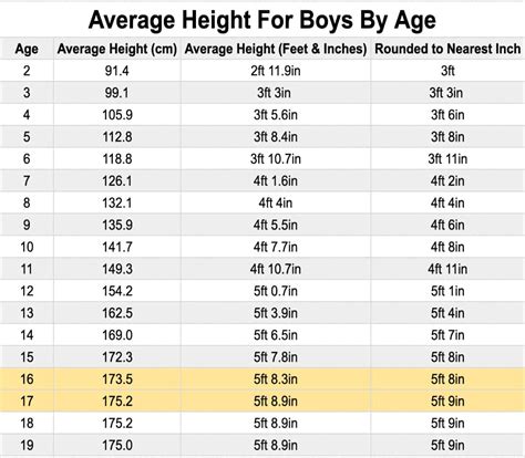 The Average 11th Grader Height and Weight (For Boys and Girls)
