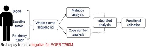 Advanced Centre for Treatment Research & Education in Cancer ...
