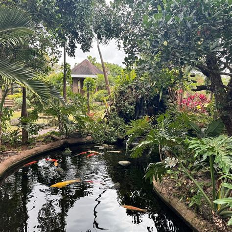 YOKI'S FARM (2026) All You Need to Know BEFORE You Go (with Photos ...