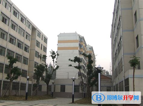 安徽蚌埠第二中学2023年招生计划