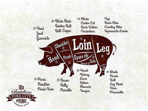 Pork Chart Cuts Of Meat