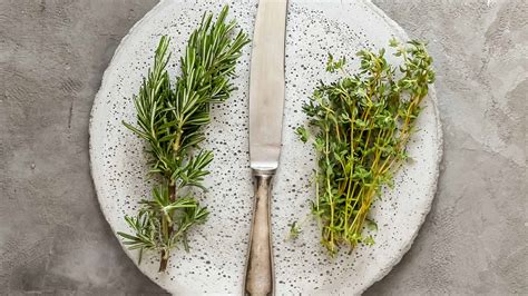How To Freeze Fresh Thyme | Storables - how long to freeze zoku