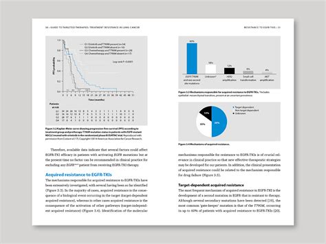 Typesetting Examples 的图像结果