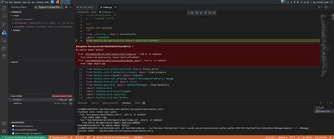 Vscode Debug Python in Docker Container 的图像结果