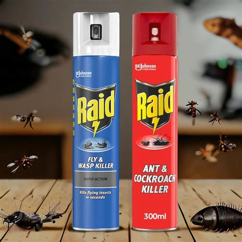 2 Pack (2 x 300ml) Raid Fly & Wasp Killer Spray Rapid Action And Raid ...