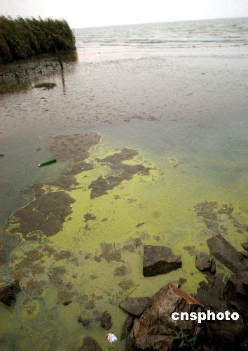 太湖治理十年：蓝藻依旧泛滥，苏南模式的绿色阴影 - 知乎