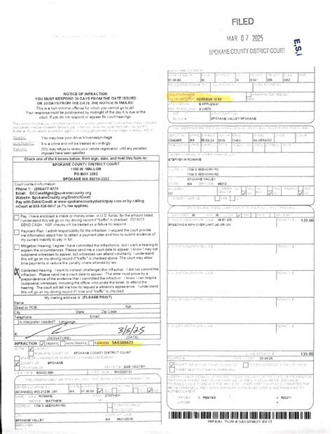 Spokane County Court Viewer