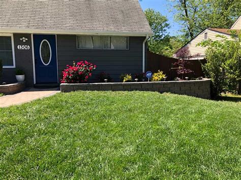 Image result for Spring Lawn Care Tips