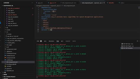 ESP Program Error On Golf 的图像结果