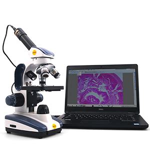 Image result for Swift Microscope Camera Software