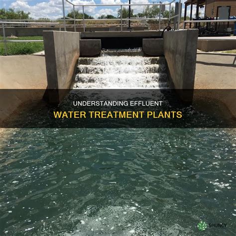 Understanding Effluent Water Treatment Plants | ShunCy