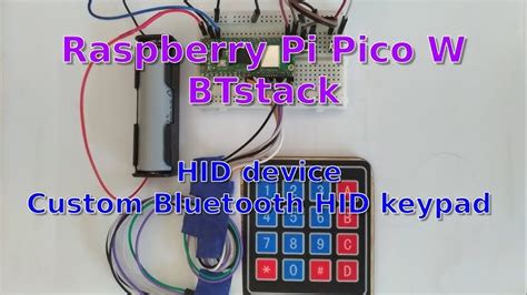 Raspberry Pi Pico W Bluetooth Keyboard | 7petals.in