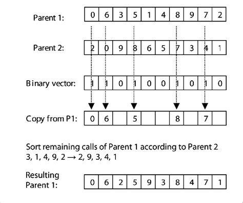 Crossover Tutorial 的图像结果