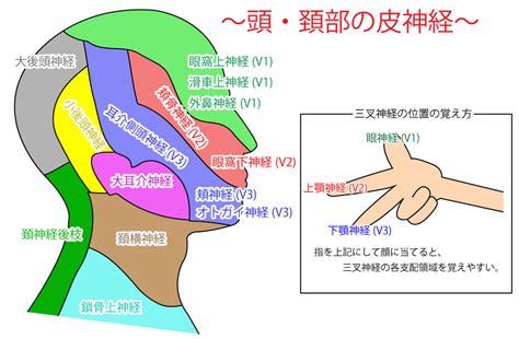 Image result for Simple Code Pythom