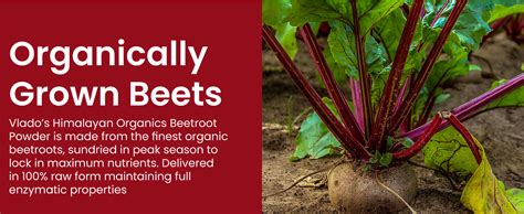 Vlado's Himalayan Organics Organic Beetroot Powder For Face, Skin ...