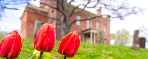 Albany Heritage Tourism | Things To Do in Albany, NY