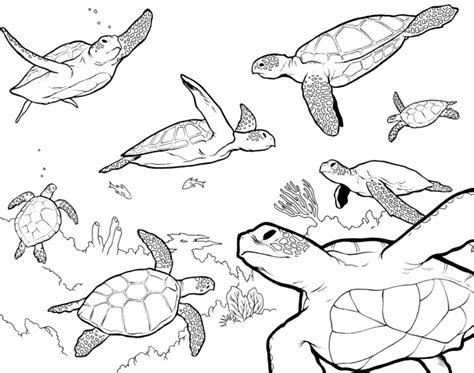 Sea Turtle Printable Coloring Pages at GetColorings.com | Free ...