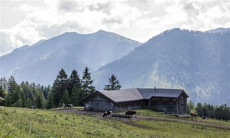 Alpwandern l Dornbirn-Ebnit - Hohe Kugel | Urlaub am Bodensee, Vorarlberg