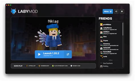 Image result for How to Install Laby Mod