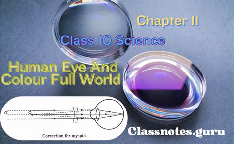 Class 10 Science Chapter 11 Topic Eyes 的图像结果