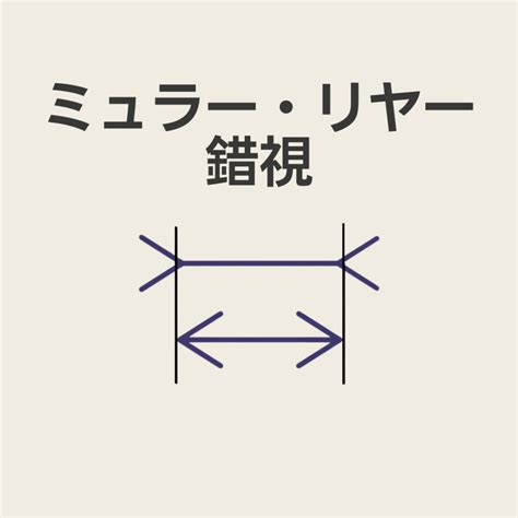 Image result for Spring/Summer Fall Snow