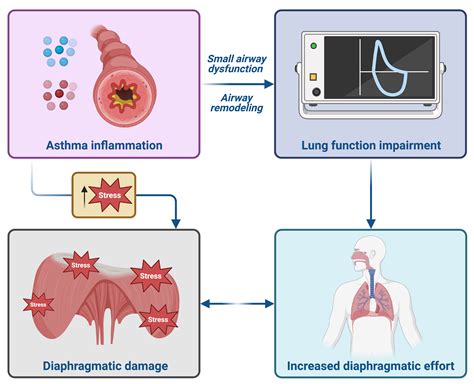 Real-World Efficacy of Beclomethasone Dipropionate/Formoterol Fumarate ...
