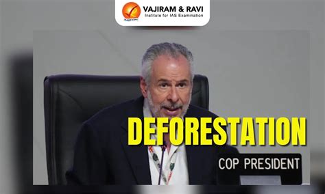 COP30 Outcomes: Roadmap to End Deforestation