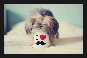 Funny Jokes Comedy Poster with A4 Size Frame F-379 Paper Print - Nature ...